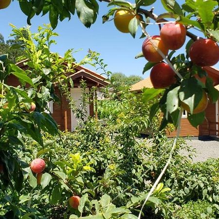 Amanhecer Na Serra Hotel Urubici Eksteriør billede